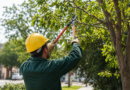 Capacitan a podadores urbanos