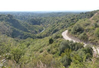 Actividades para disfrutar el Fin de semana en Córdoba