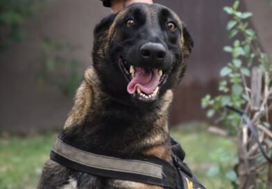 “Venus” se suma a la Policía de Córdoba para fortalecer tareas de seguridad