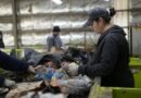 Reciclar más y enterrar menos: el CGA ya recupera el 25% de los residuos