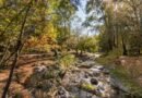 Cuatro pueblos cordobeses fueron postulados para los Best Tourism Villages 2026