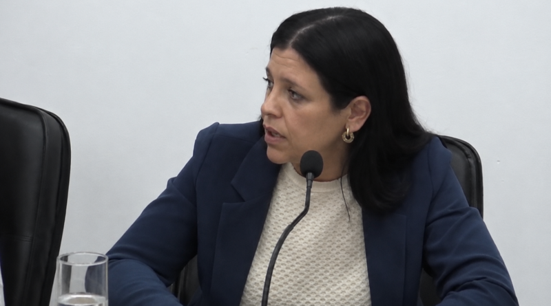“Los vecinos esperan soluciones, no declaraciones”: la frase que marcó la sesión del Concejo