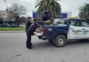 Controles del fin de semana: secuestran 55 vehículos