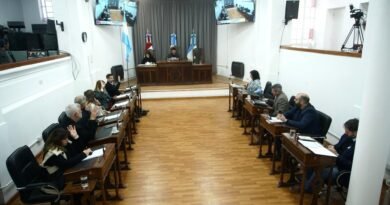 El Concejo aprobó proyectos para fortalecer la cultura: de qué se tratan
