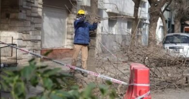 Hasta el 31 de agosto se pueden solicitar permisos de poda a través de ViDi