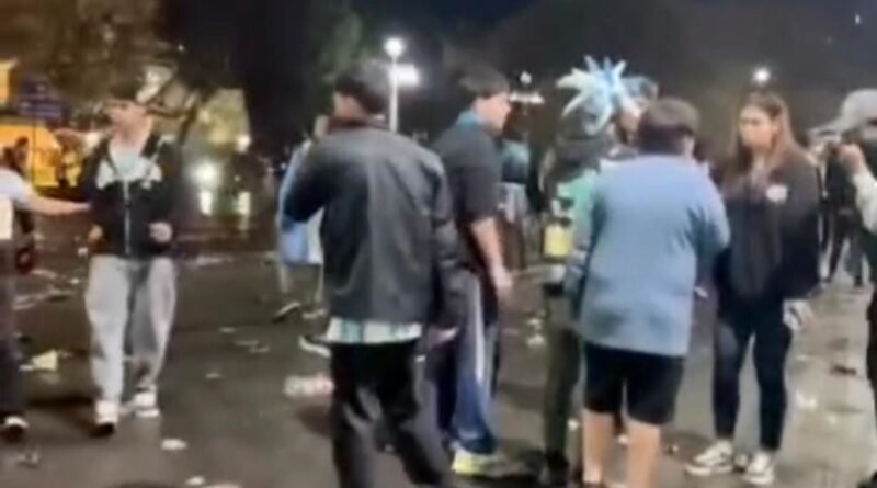 Según la Policía, detuvieron a cinco individuos por disturbios durante los festejos por Argentina