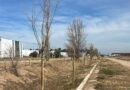 El PILT refuerza su compromiso ambiental con la plantación de más de 120 árboles