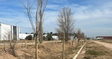 El PILT refuerza su compromiso ambiental con la plantación de más de 120 árboles