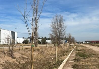 El PILT refuerza su compromiso ambiental con la plantación de más de 120 árboles