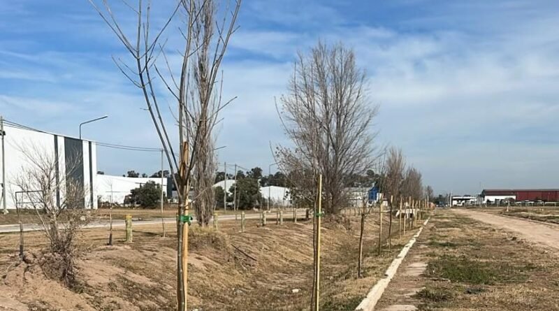 El PILT refuerza su compromiso ambiental con la plantación de más de 120 árboles