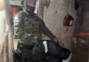 Cayó un narcomenudista en Las Playas: secuestran cocaína, marihuana y dinero
