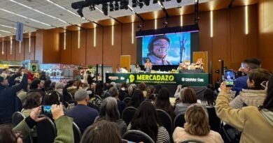 Córdoba recibió más turistas y algunos destinos superaron el 80% de ocupación