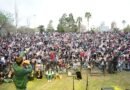 Primavera Live tendrá un botellero para impulsar la construcción de ladrillos PET