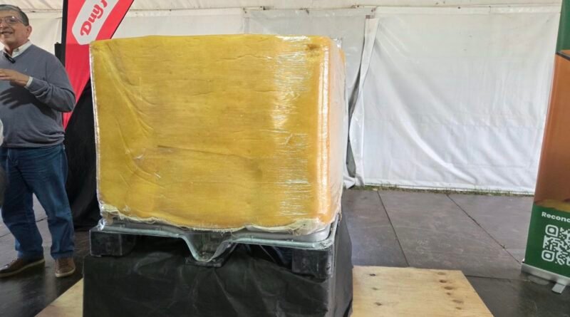 El queso gigante de 1.000 kilos es una de las grandes estrellas de la MECA 2026
