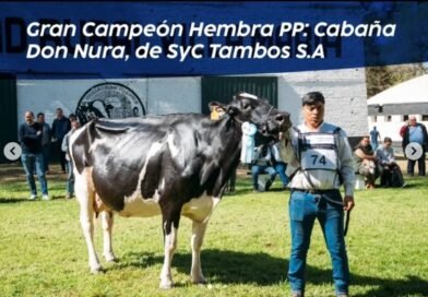 Don Nura se quedó con la Vaca Suprema de MECA 26
