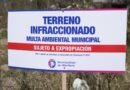 Terrenos baldíos: el Municipio coloca carteles y advierte sobre multas y expropiación